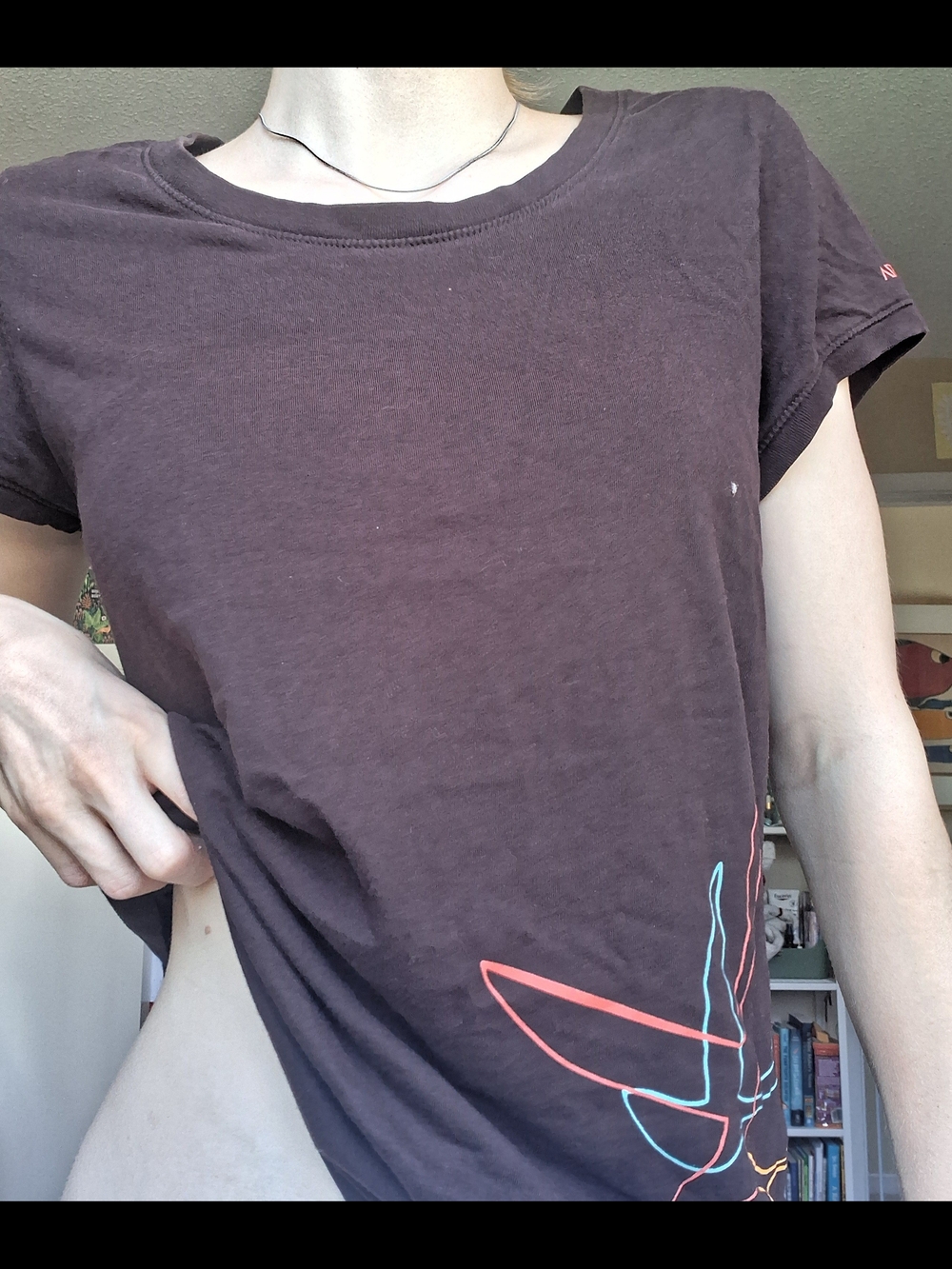 Arc'teryx Brown Short Sleeve Graphic Tee with Neon Bird Accent